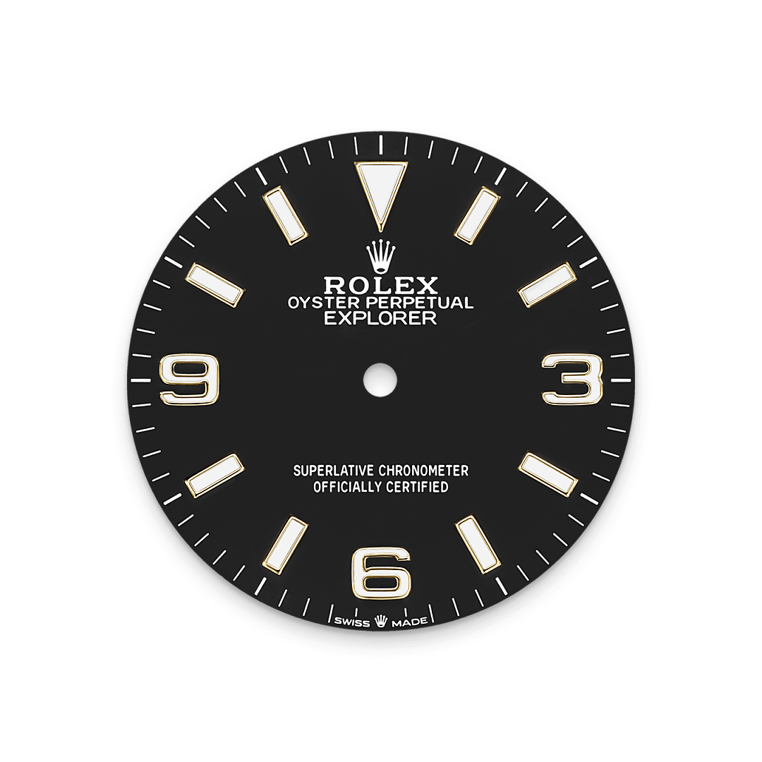 rolex Explorer 36 dial  in Yellow Rolesor - combination of Oystersteel and yellow gold, M124273-0001 - Nowwatch