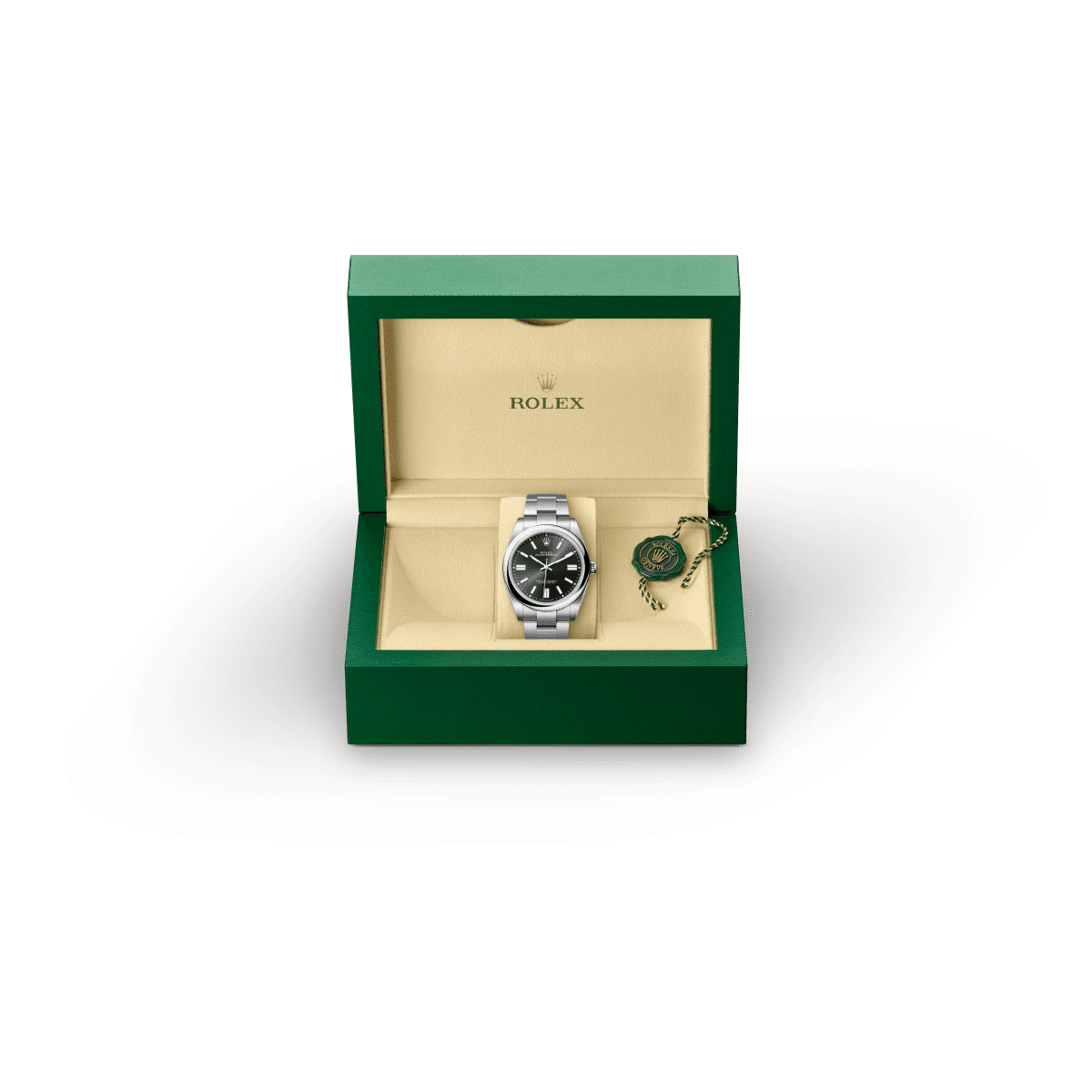 오이스터스틸 소재의 롤렉스 OYSTER PERPETUAL, M124300-0002 - 나우워치