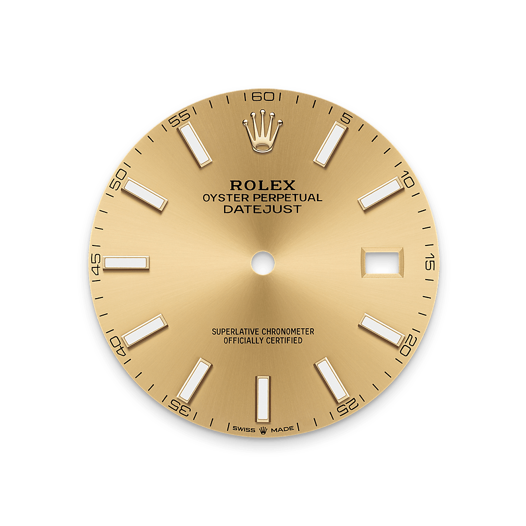 rolex Datejust 41 dial in Yellow Rolesor - combination of Oystersteel and yellow gold, M126333-0010 - Nowwatch