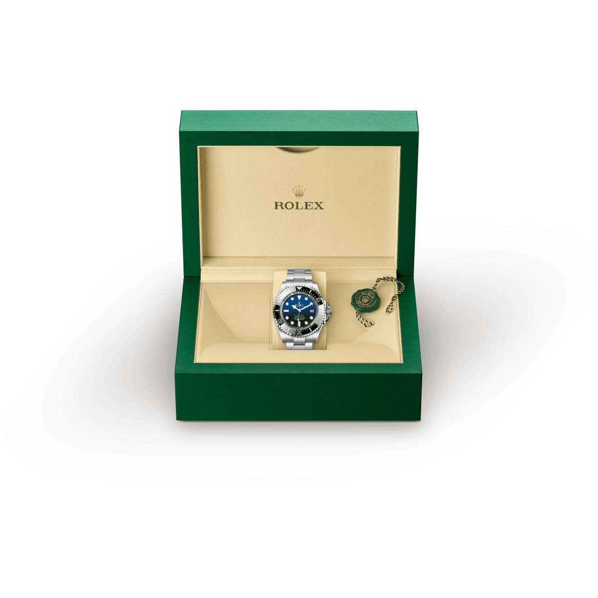 rolex DEEPSEA in Oystersteel, M136660-0005 - Nowwatch